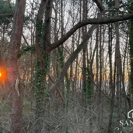 Baltic Dune Z Dostepem Do Basenow,jacuzzi,strefy Saun - Pinea Pobierowo-sannel For Rent アパート