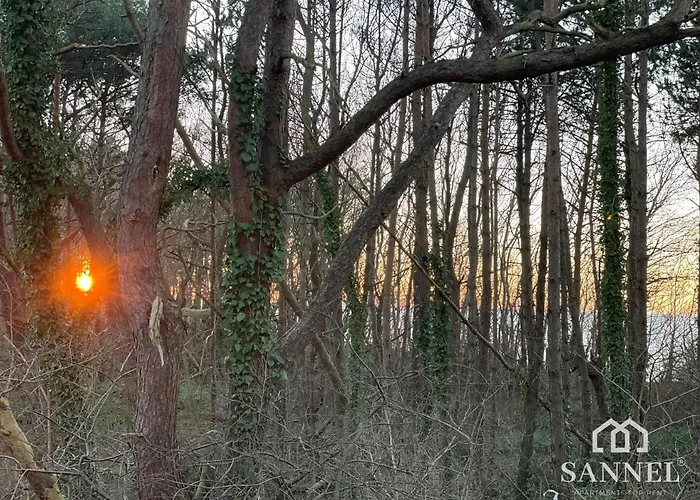 Baltic Dune Z Dostepem Do Basenow,jacuzzi,strefy Saun - Pinea Pobierowo-sannel For Rent Apartment